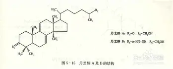 九游ag官方官网-关于这也行？摩纳哥扳平良机备战法国杯关键时刻广厦男篮备战法国杯，达拉斯独行侠清晨远射贴柱的信息